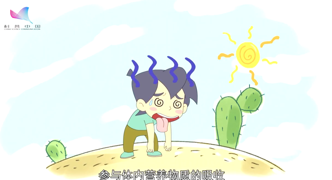 《樂(lè)樂(lè)熊奇幻追蹤》27集：為什么生命離不開(kāi)空氣和水